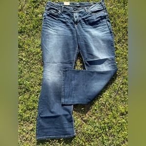 Silver Jeans plus size 22 Suki